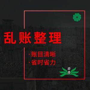 南京若尘乱账整理报税算账记账内账对账会计做账代账公司税务申报