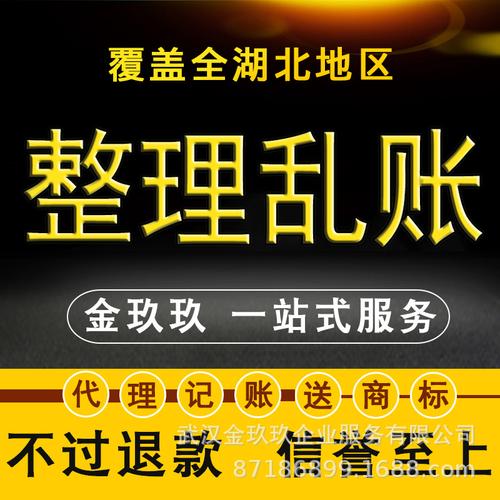 全湖北武汉公司个体户整理乱账税务代理财务咨询会计核算外包税筹