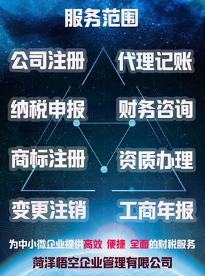 专业资深会计代理记账;做账本app可查出错赔付