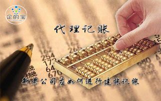 代理记账 新老公司应如何进行建账