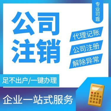 税务咨询 记账报税 费用透明