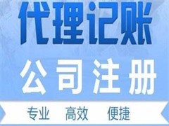 武汉汉阳验资